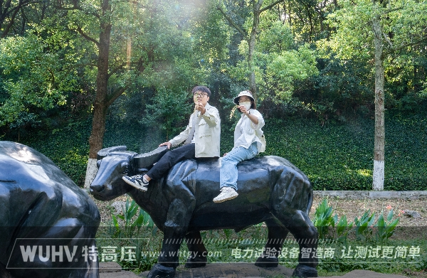 银娱优越会(中国)股份有限公司官网